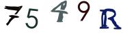 Obrázkové CAPTCHA