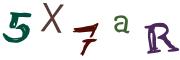 Obrázkové CAPTCHA