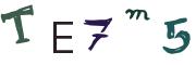 Obrázkové CAPTCHA