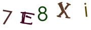 Beeld-CAPTCHA