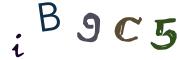Beeld-CAPTCHA