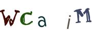 Imagine CAPTCHA
