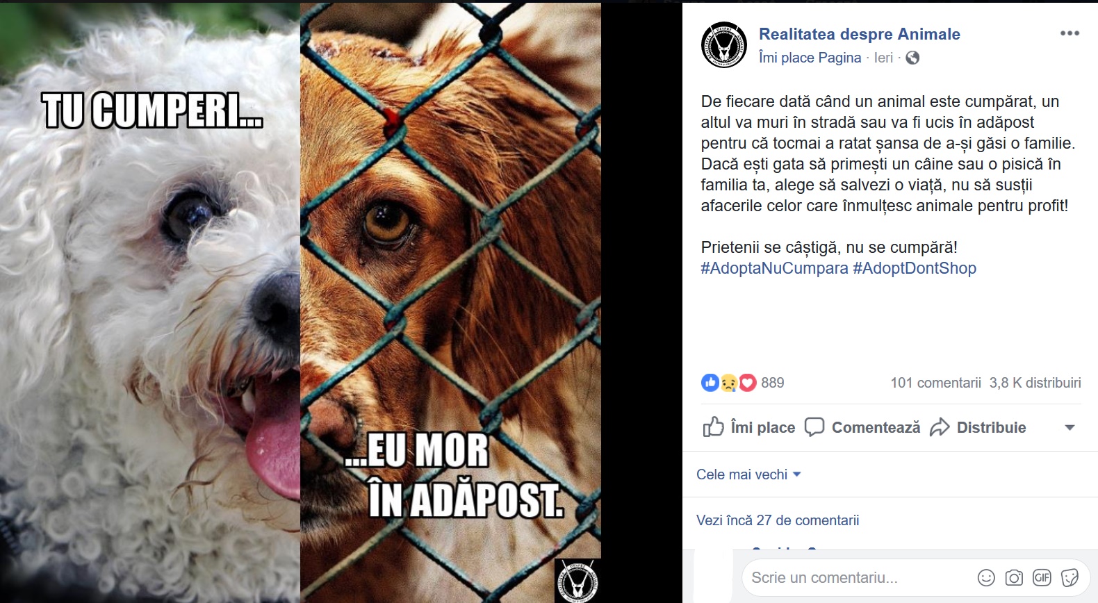 Doua imagini alaturate cu un caine de rasa si un caine dintr-un adapost. Mesajul este "Tu cumperi, eu mor in adapost"