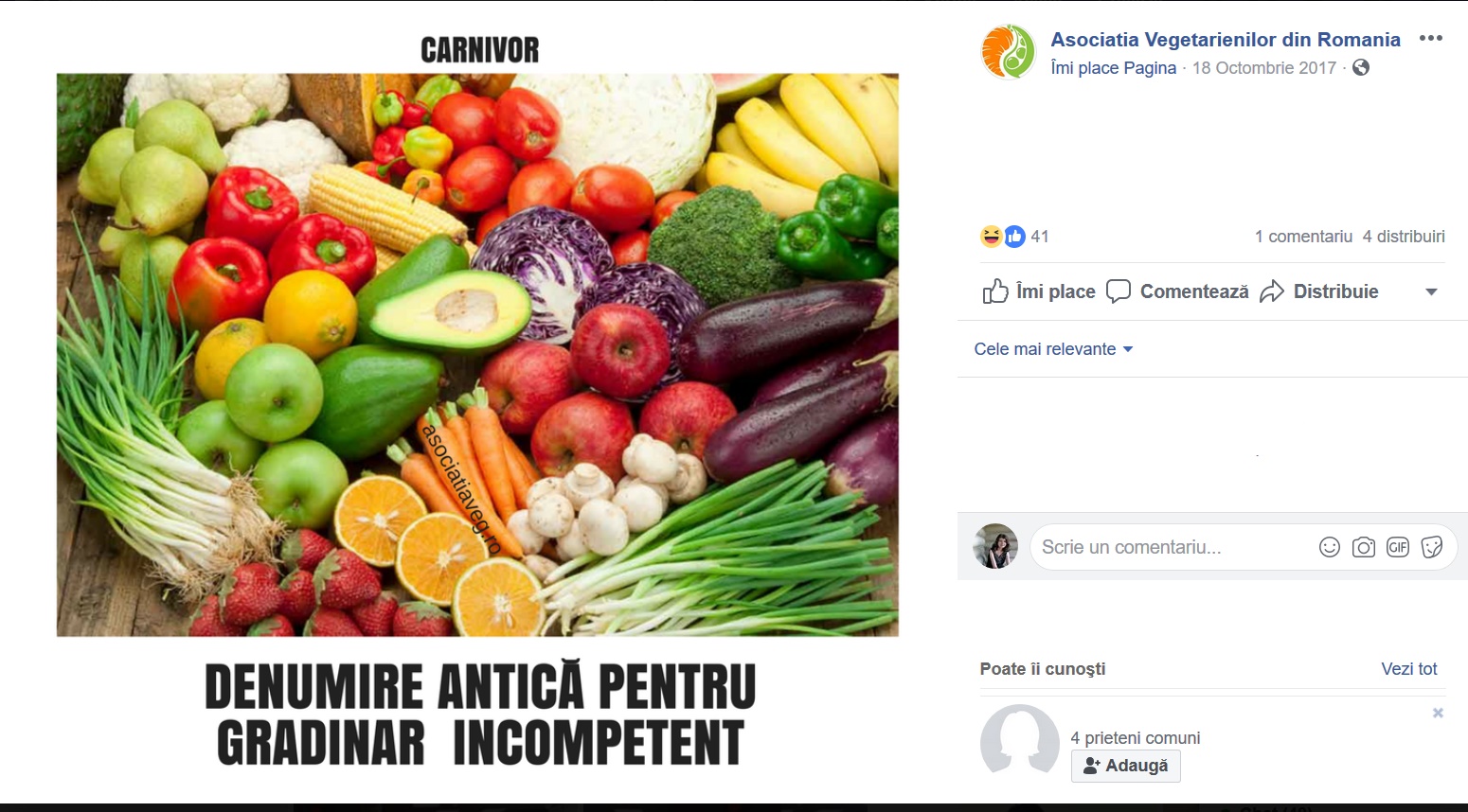 dinu.melania@yahoo.com