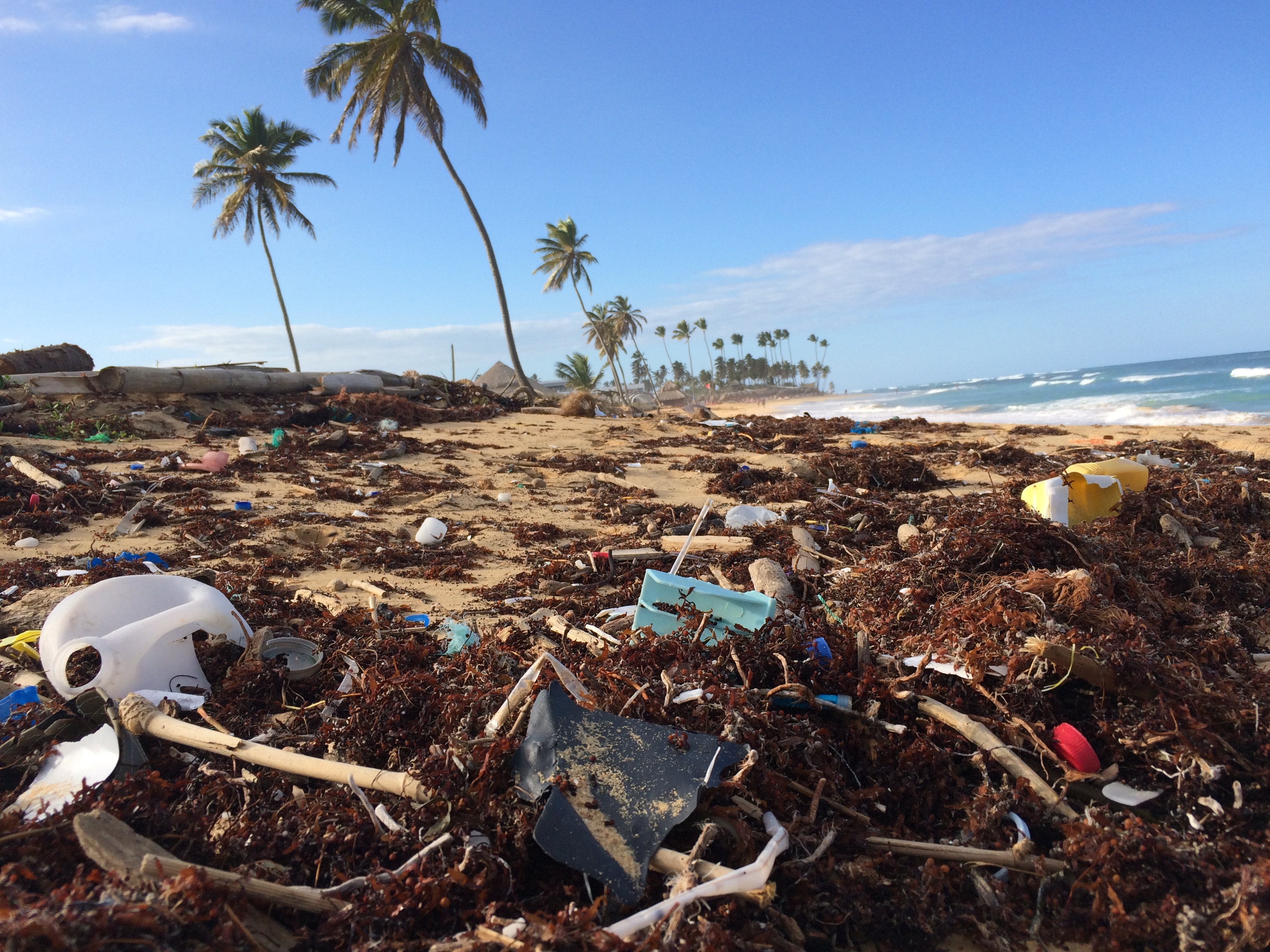 Plastic and garbage in the beach