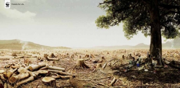 Ironically, the tree cutters are resting under the one tree that they failed to cut down. 