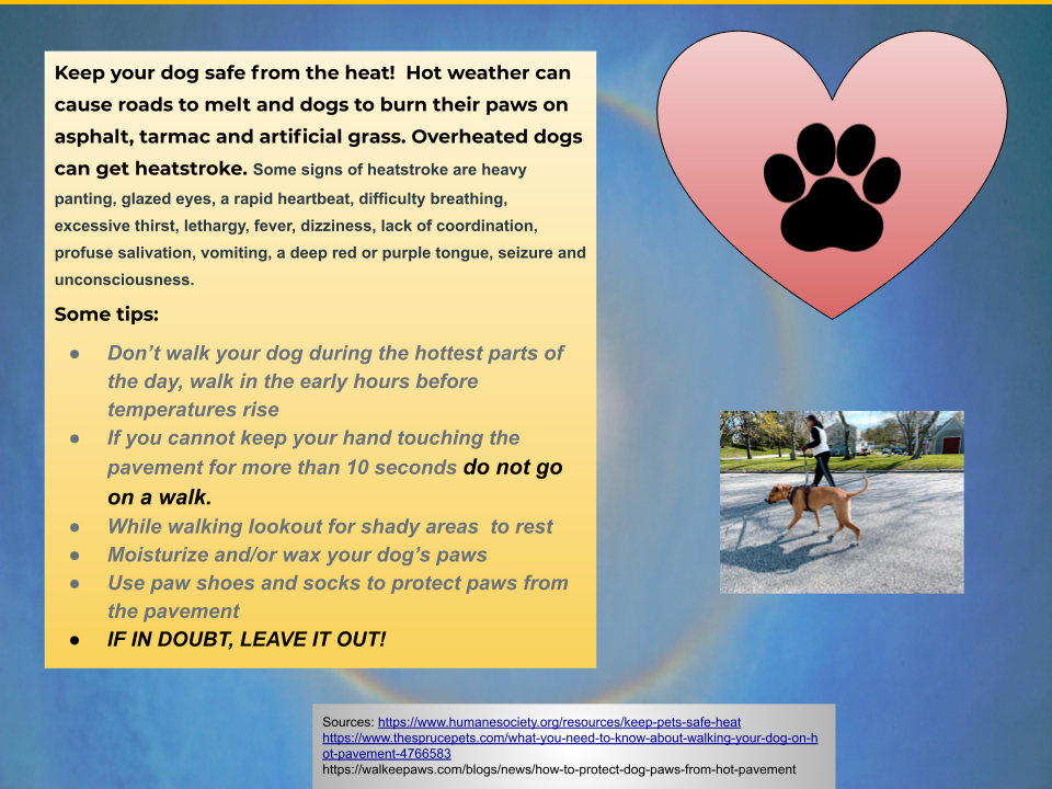 A personal public service announcement to keep dogs safe from the heat.