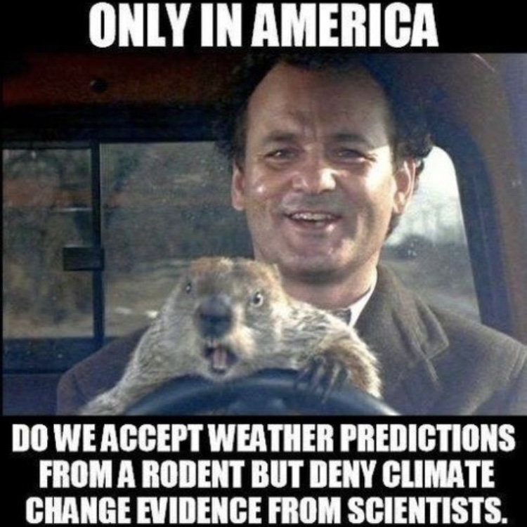 Meme reading 'Only in America do we accept weather predictions from a rodent but deny climate change evidence from scientists'