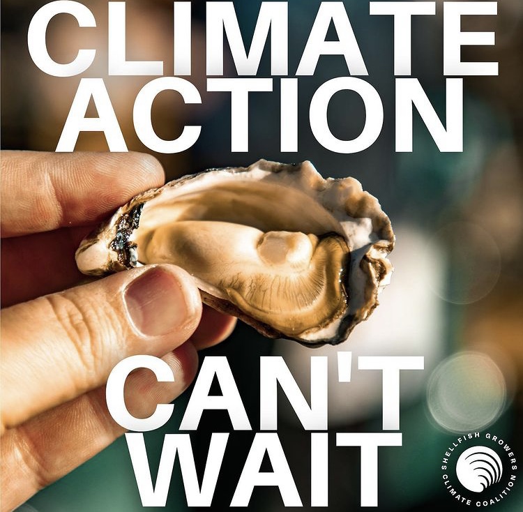 Photo of hand holding an oyster saying 'Climate Action Can't Wait'