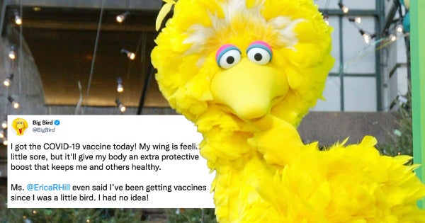 Big Bird's Tweet 