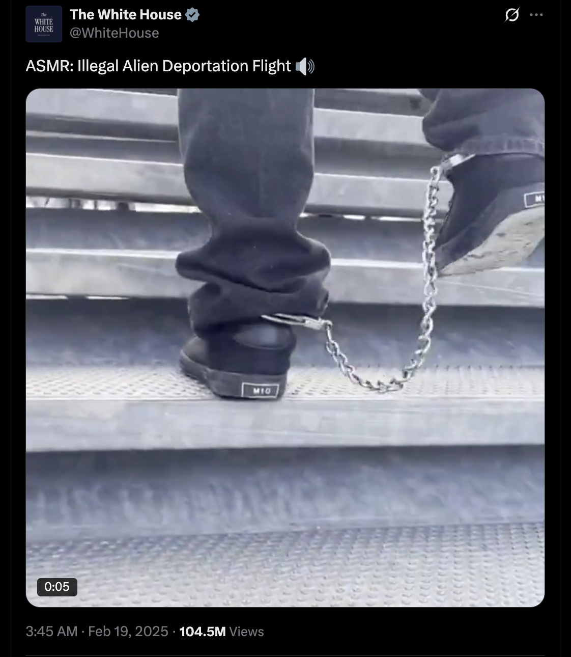 ASMR Deportation