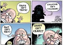 Crazy political lawyer