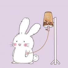 Bubble tea addiction 