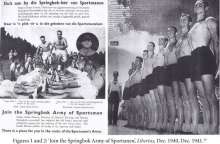 Join the Sprongbok Army of Sportsman