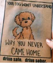 Drive sober and stay safe 