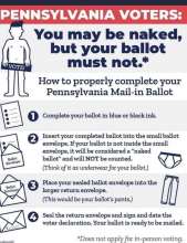 Naked Ballot
