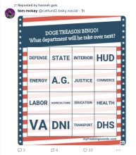 DOGE Treason BINGO