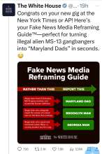 Language as propaganda 