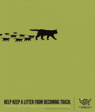 humane society ad